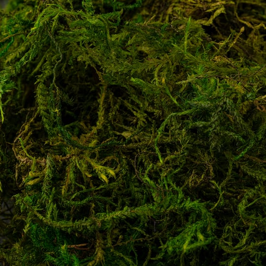 SuperMoss® Preserved Moss